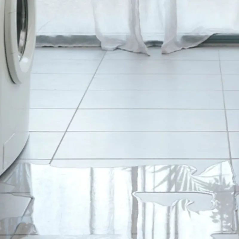 Appliance Leak Cleanup in Murphys, CA