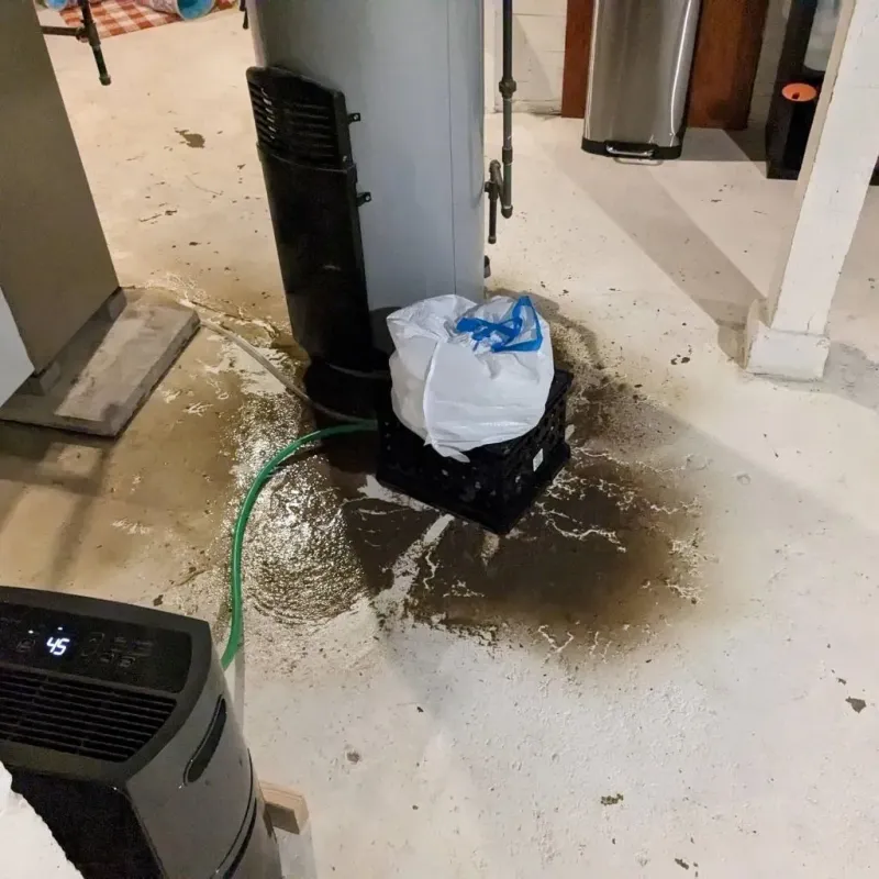Sewage Backup Cleanup Service in Murphys, CA